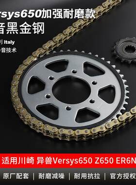 适用川崎异兽Versys650z650ninja650大小大齿盘链轮征和油封链条