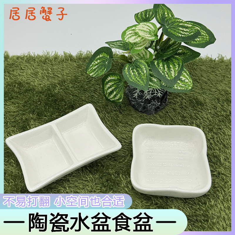 爬宠水盆寄居蟹水盆食盆守宫蛇蜘蛛爬虫专用造景喂食盆占地小