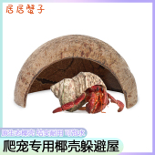 椰子壳躲避陆龟蛇角蛙爬宠宠物天然椰壳楼梯躲藏洞穴窝乌龟躲避屋