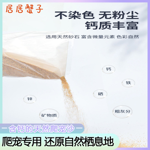 钙砂寄居蟹专用沙造景爬宠沙宠物寄居蟹用自然垫层砂宠物爬虫垫材
