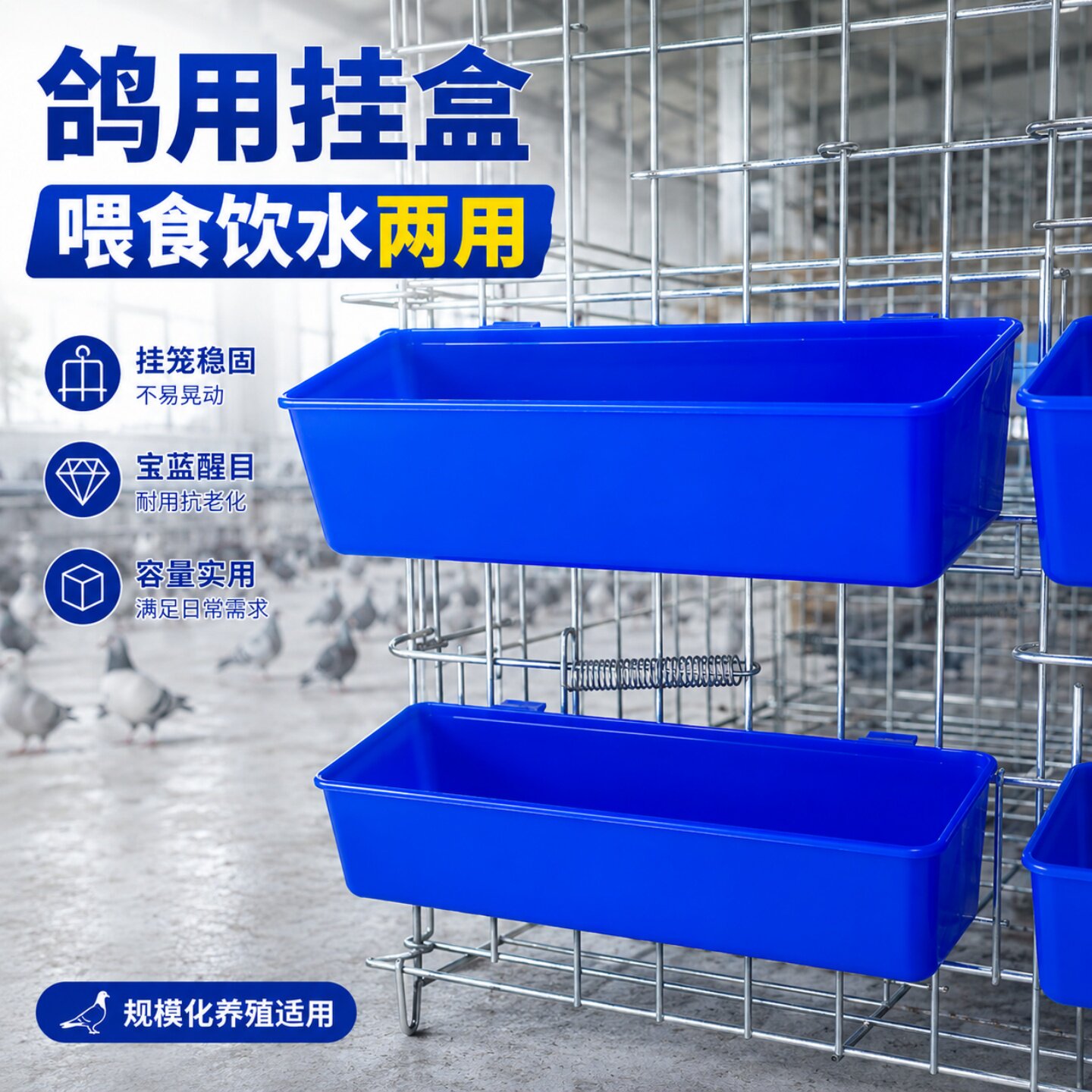 鸽子食盒防撒料水槽塑料两用挂盒图片
