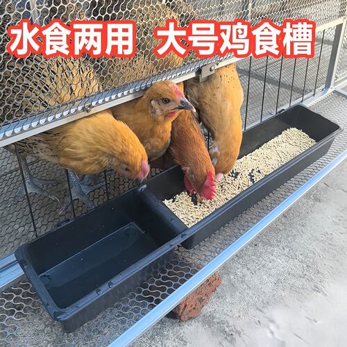 饮水喂料一体槽养鸡挂式料槽