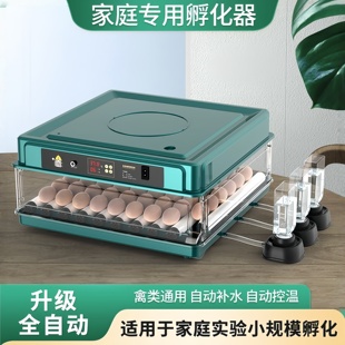 全自动孵化机家用型鸡鸭鹅鸽子鸟自动控温孵化器小型孵化箱孵蛋器