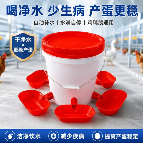 新款防污染鸡鸭鹅饮水碗大号