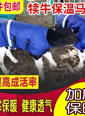 牛犊马甲加绒外套器械护胃牛肚防水服新生服小全包裹棉衣养牛场用