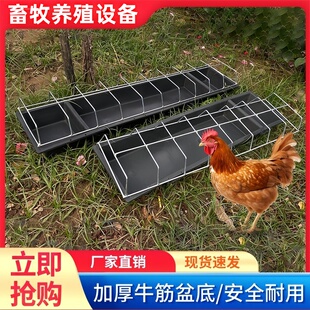 鸡食槽水槽一体长方形水料新型鸡食槽长条干湿分离打不翻防刨争抢