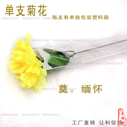 清明节扫墓烈士陵园献花黄白菊花