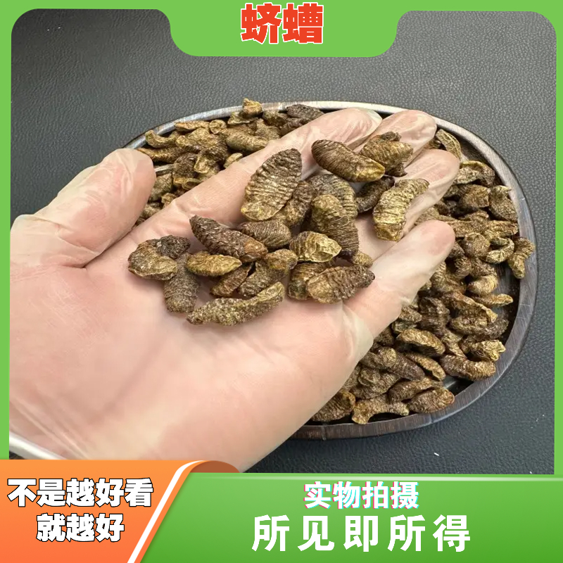 蛴螬中药材店铺中草药