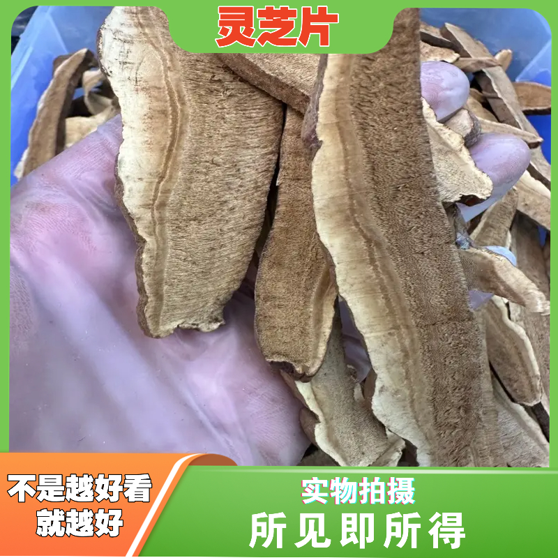 灵芝片中药材店铺中草药新货无硫苦灵芝片赤灵芝片长白山切片