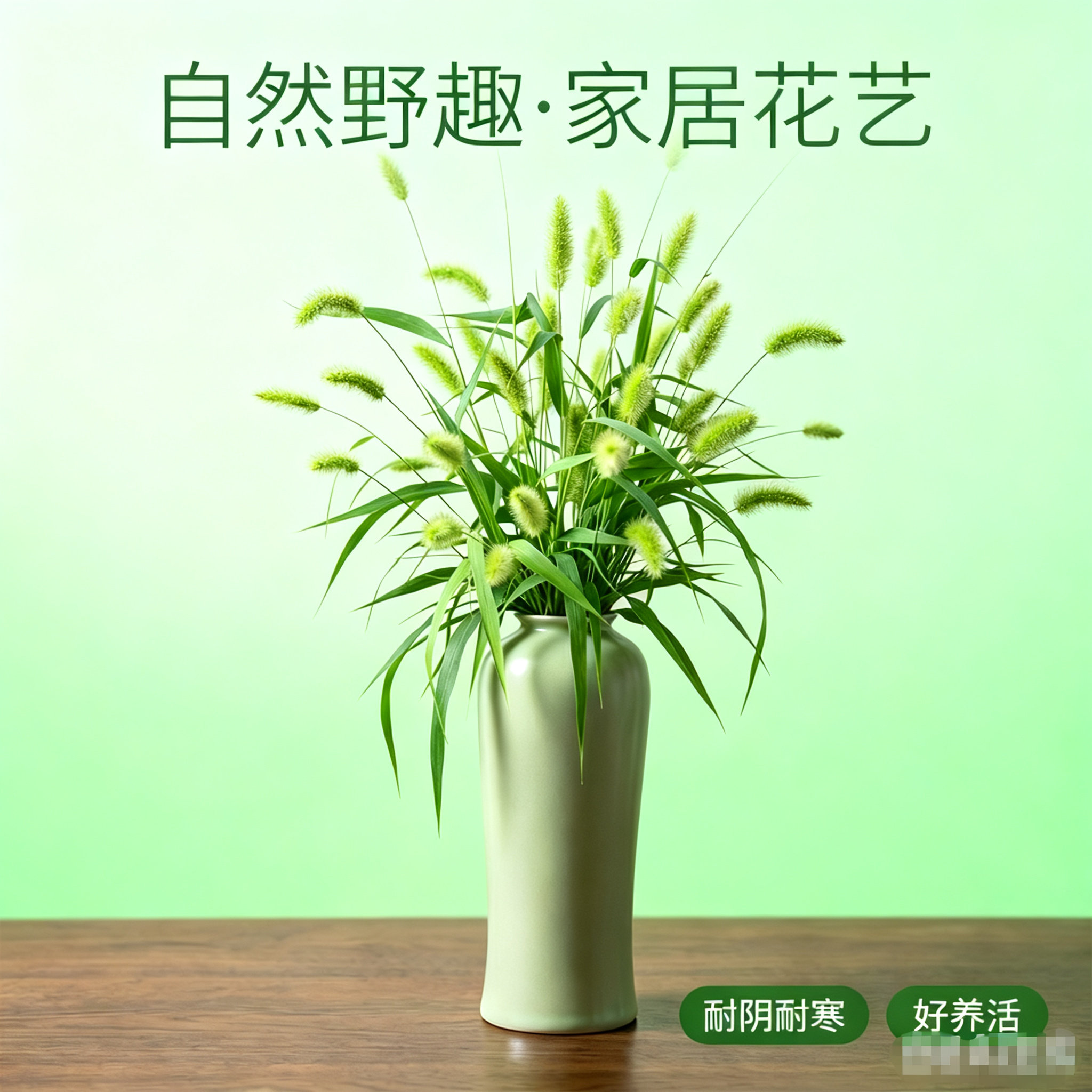 招财狗尾草植物室内净化空气客厅插花装饰花束绿植花卉盆栽好养活