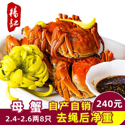 杨记大闸蟹足斤足两黄满肉肥