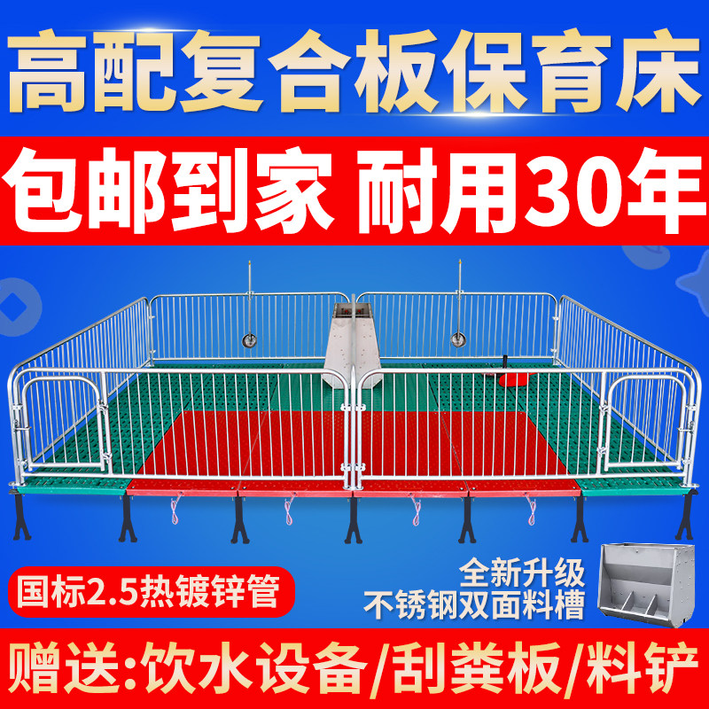 保育床热镀2.5仔猪单双体小猪保育栏母猪产床定位栏猪场养殖设备