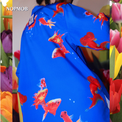 nopmob蓝色水族馆橘色锦鲤金鱼