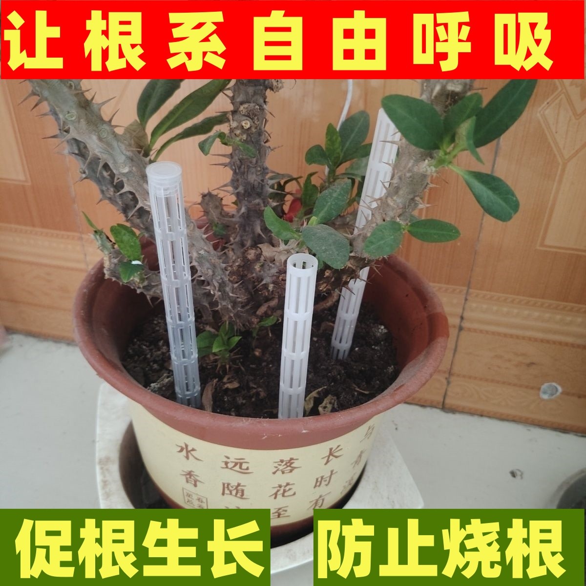 花盆底部加长通风透气管不闷根