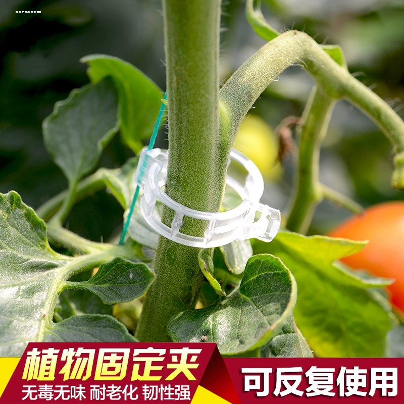 植物卡扣绑蔓夹瓜果蔬爬藤吊秧夹子黄瓜西红柿秧苗果树绑枝固定器
