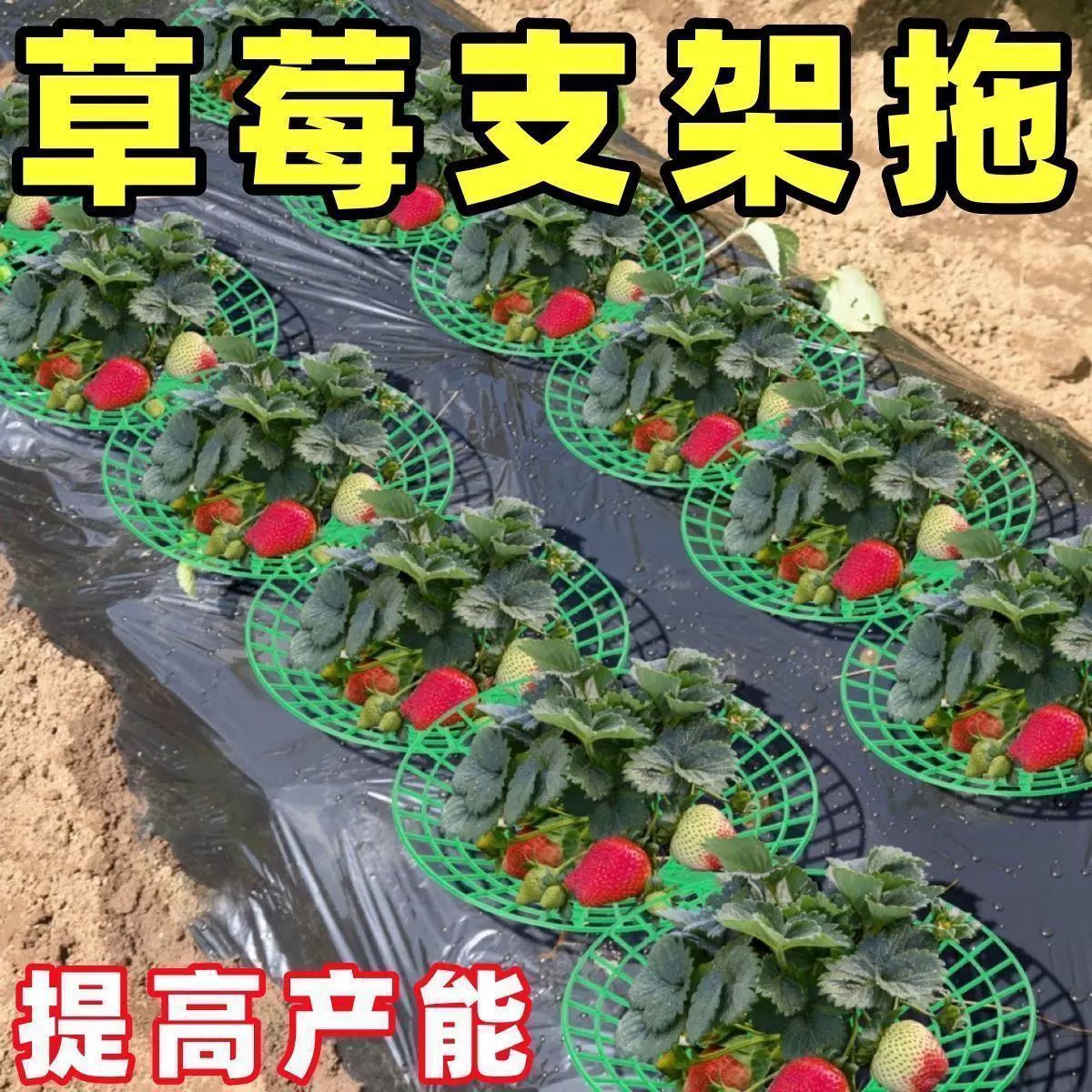 草莓架水果托盘支架防落地盆栽