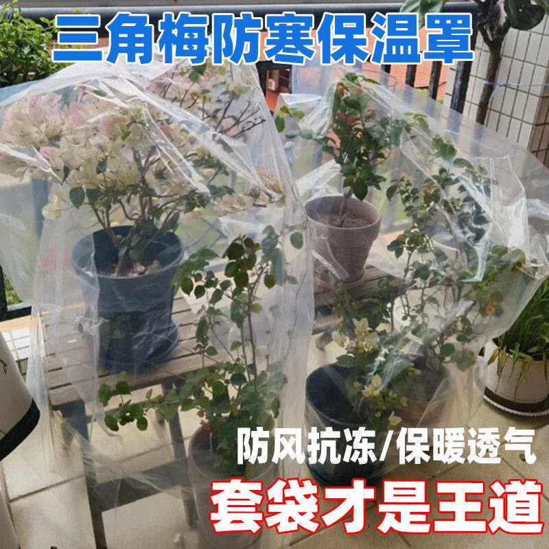 绿植物防冻保温袋塑料膜花卉盆栽过冬保护罩树木防寒布透明防尘袋