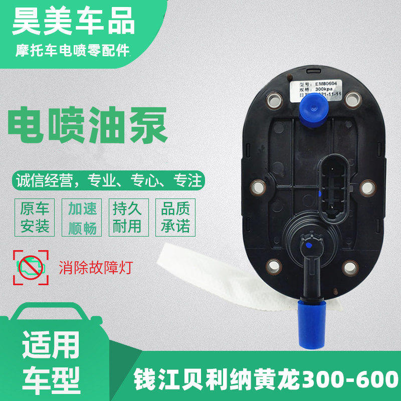适用钱江贝纳利黄龙600 300 250 752s电喷摩托车油箱燃油泵汽油泵