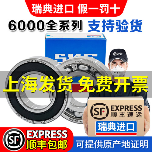 SKF斯凯孚进口轴承6000 6001 6002 6003 6004 6005 6006 6007 2RS