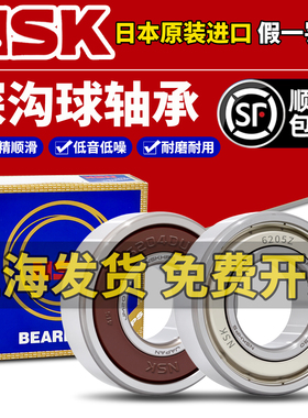 日本NSK进口6000高速6001轴承6002 6003 6004 6005 6006DDU6007ZZ