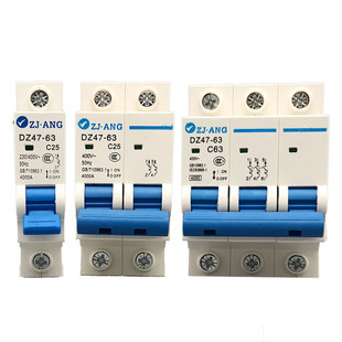 珠江DZ47 63小型断路器空气开关电闸家用保护器总开关单极双极2P