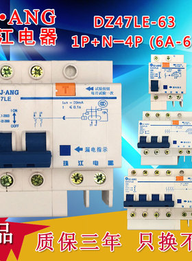 珠江DZ47LE-63空气带漏电保护器开关家用总开关2P断路器三相四线