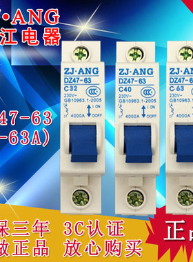 珠江DZ47-63小型断路器单极空气开关家用电闸40A保护器1PC6A-63A
