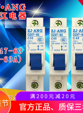 珠江DZ47-63小型断路器单极空气开关家用电闸40A保护器1PC6A-63A