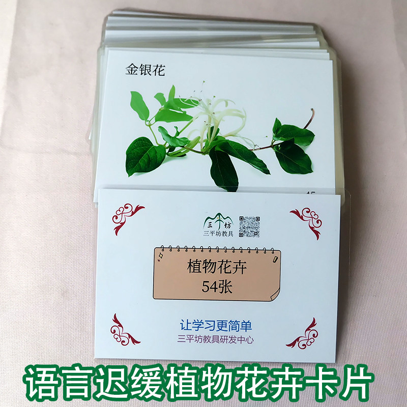 植物花卉卡儿童发声语言发育迟缓自闭症孤独症aba康复教具玩具