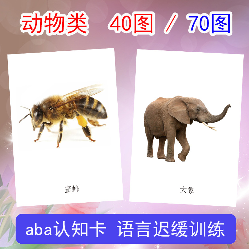 动物认知卡自闭症孤独症儿童语言发育迟缓全套aba教具教学康复