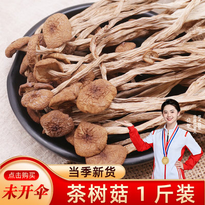 野生茶树菇干货不开伞500g煲汤料