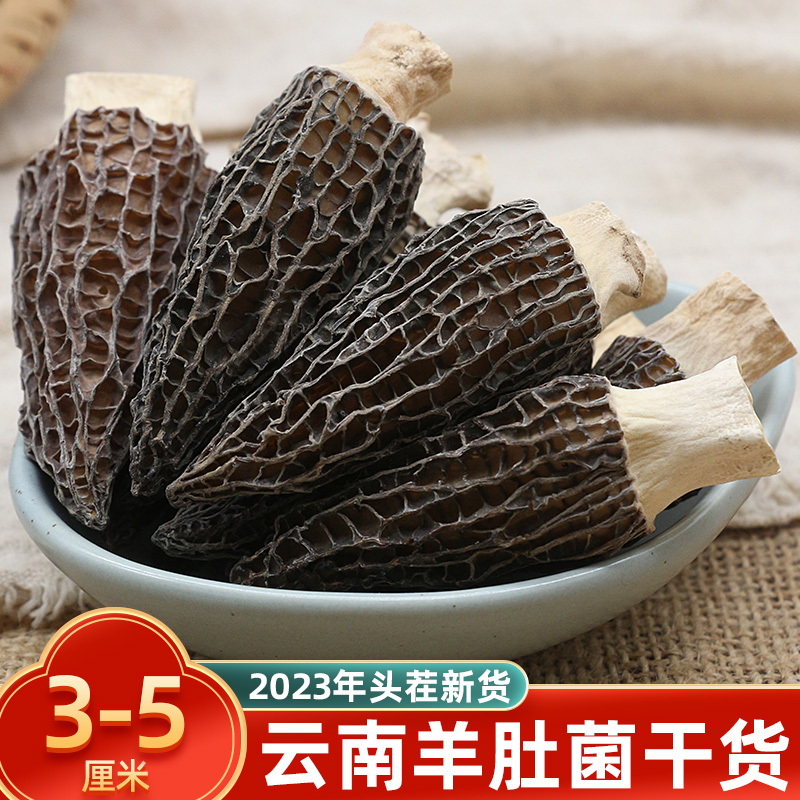 野生羊肚菌干货500g云南特产菌菇