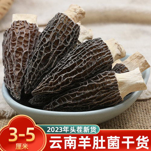 羊肚菌干货特级500g野生菌干菌菇