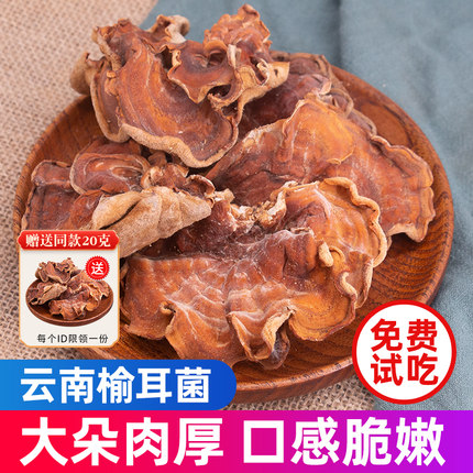 头茬榆耳菌干货500g云南特产无硫灵芝菇菌菇干蘑菇香菇类小炒家用