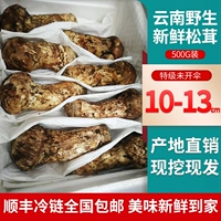 【Экспортный класс】 Свежий Matsutake 500g дикий мацтэк гриб Shangri-La Fresh Mushroom без сухого супа ингредиенты