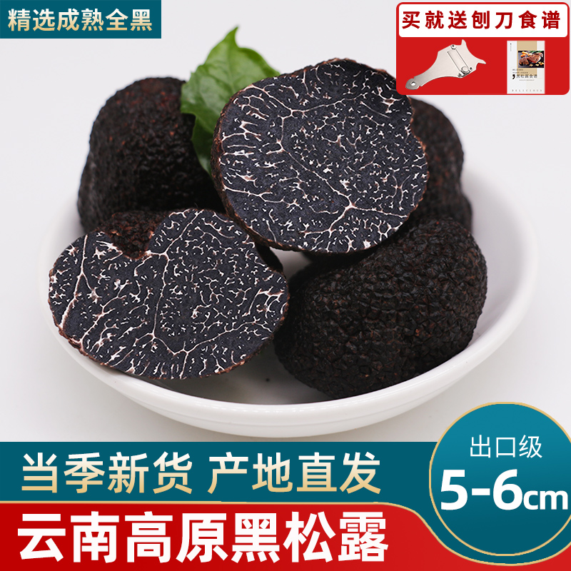 新鲜野生黑松露500g菌菇酱蘑菇酱