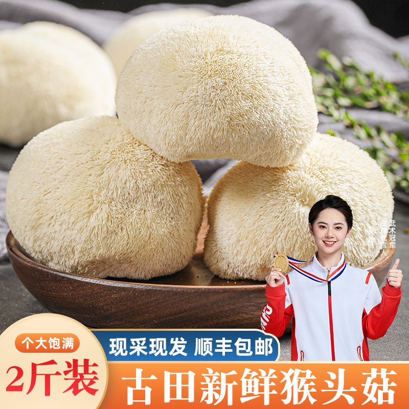 新鲜猴头菇1kg农家特产鲜猴头菌猴菇菌菇猴菇头鲜蘑菇食用菌煲汤