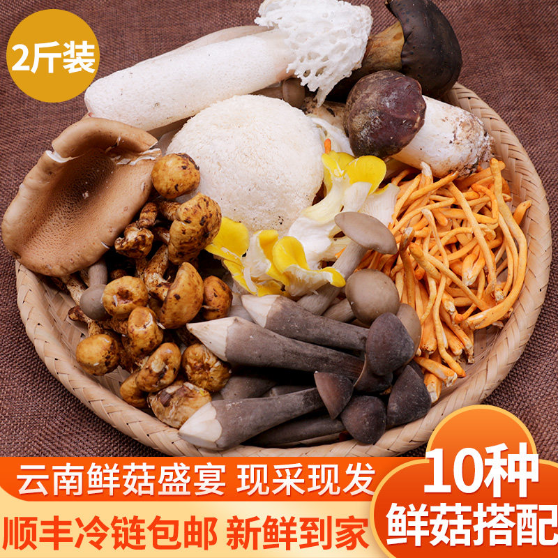 新鲜菌菇火锅食材1kg云南特产野生菌姬松茸牛肝菌羊肚菌杂菌菌子