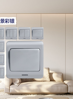 西门子远景银色墙壁开关插座