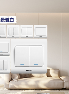 西门子开关插座远景雅白色一开二开三开四开单控双控两位荧光面板