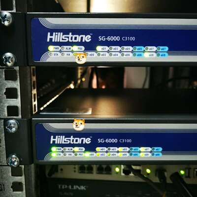 议价hillstone SG-6000 C3100 山石网科可维修
