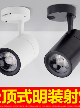 led明装射灯20w30w服装店家用背景墙cob吸顶导轨道灯店铺展厅聚光