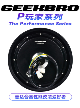 GEEKBRO极客兄弟P系列高性能瓦片电机岳老板搞电机10寸12寸WP