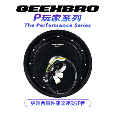 GEEKBRO岳老板搞电机P系列高性能瓦片电机12寸2000W至15000W