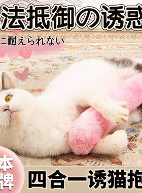猫薄荷抱枕小猫自嗨解闷玩具