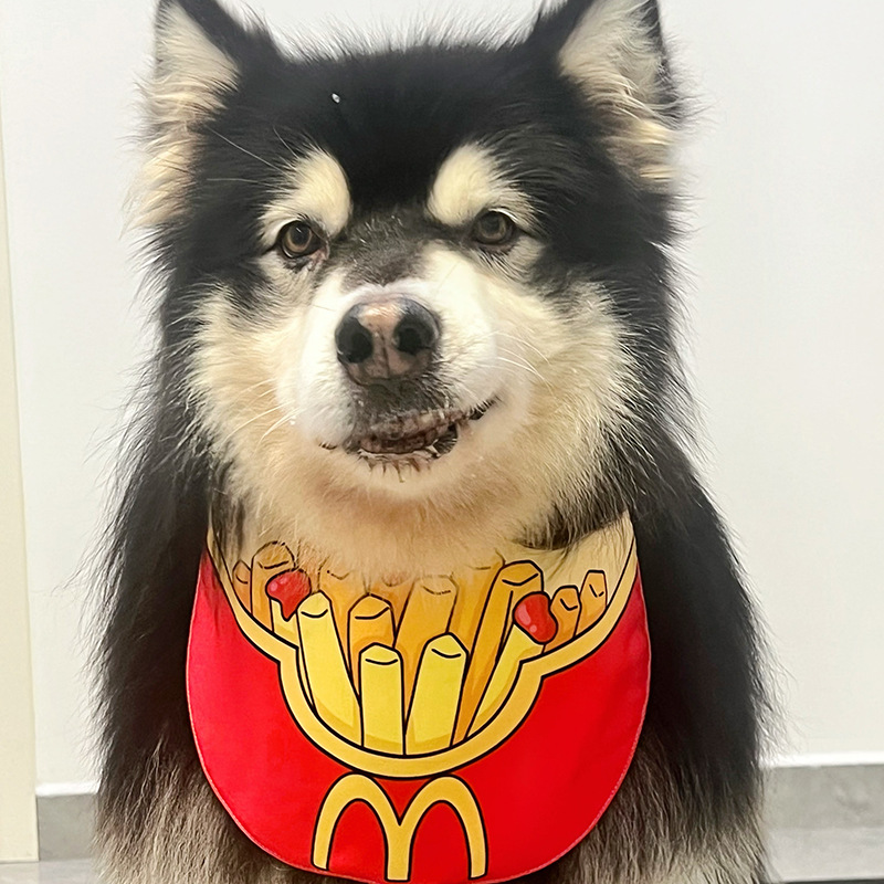 阿拉斯加大型犬口水巾金毛