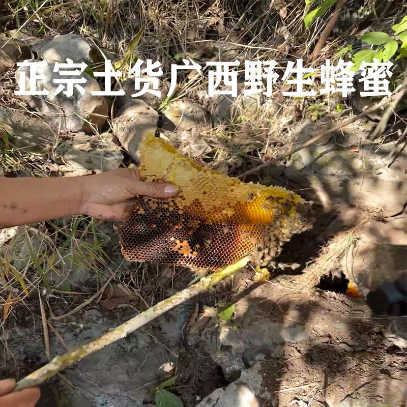 广西土洞现挖野生土蜂蜜纯天然四季百花蜜冬蜜深山石头缝蜂蜜巢蜜
