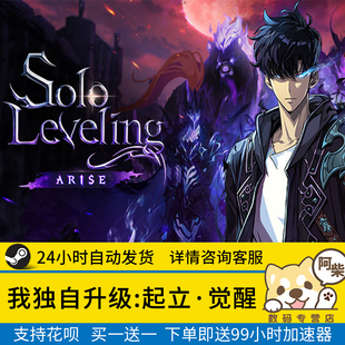 觉醒 起立 国区礼物激活 我独自升级 Steam正版