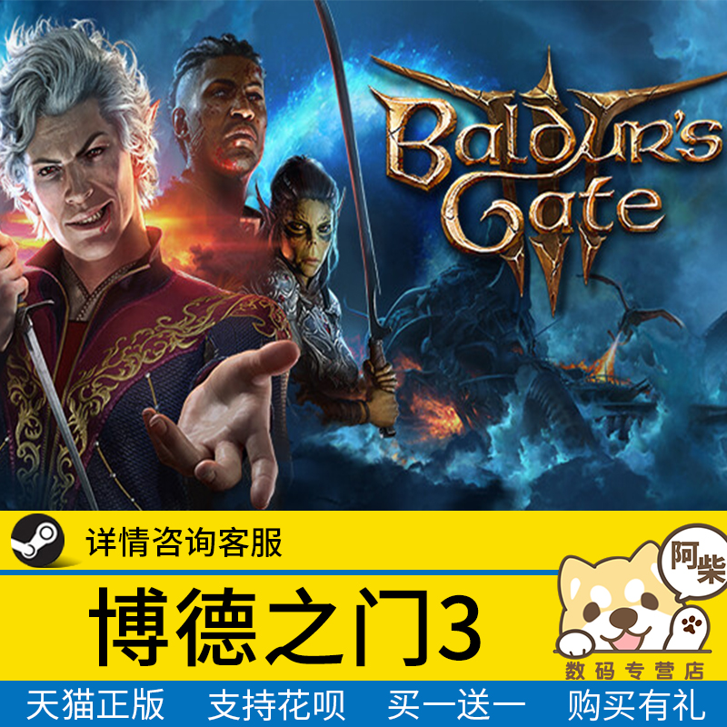 Steam正版游戏PC中文 博德之门3steam 博德之门3国区礼物激活 Baldurs Gate3 成品号好友赠礼送礼