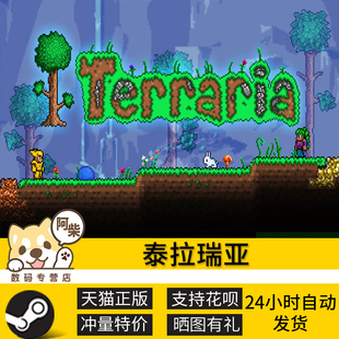 STEAM PC正版游戏 Terraria 泰拉瑞亚 多人联机 成品号